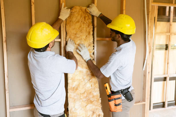 Best Soundproof Insulation Installation  in Santa Anna, TX