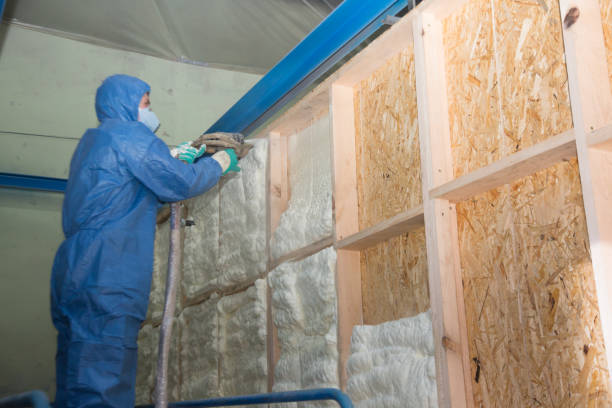 Best Best Insulation Companies  in Santa Anna, TX