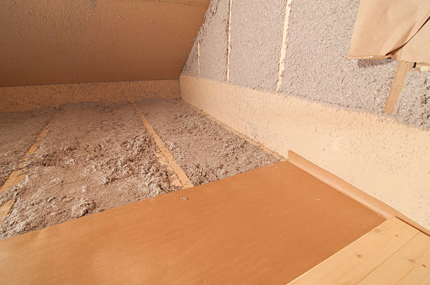 Best Insulation Contractor Near Me  in Santa Anna, TX