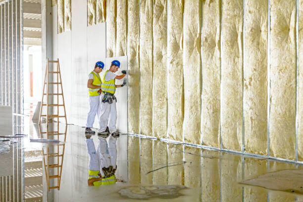Best Home Insulation Services  in Santa Anna, TX
